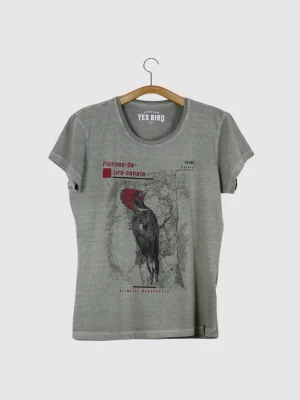 Camiseta Baby-look estonada - Pica-pau-de-cara-canela (Celeus galeatus)