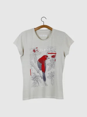 Camiseta Baby-look estonada - Tiê-sangue (Ramphocelus bresilia)