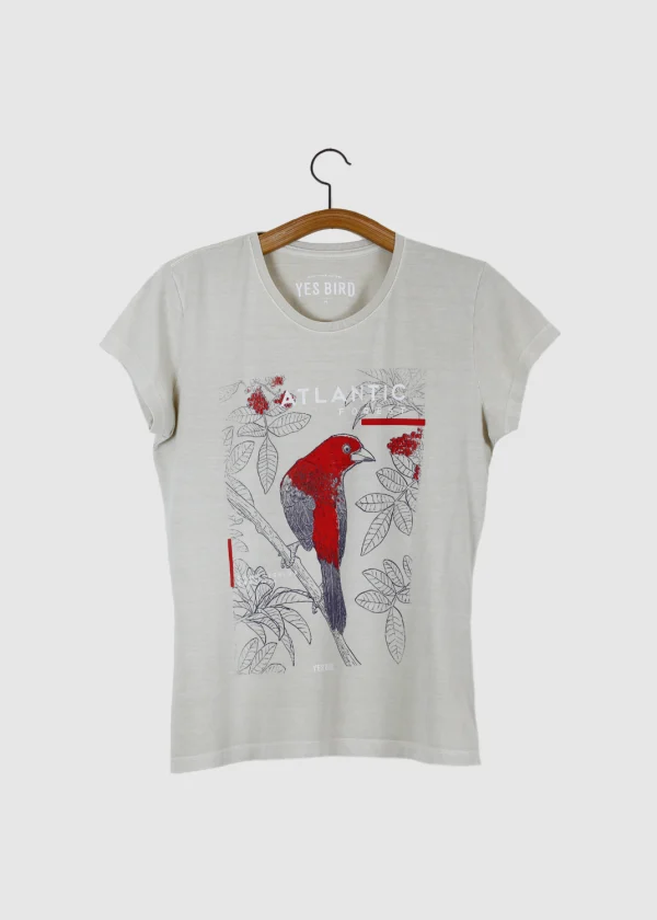 Camiseta Baby-look estonada - Tiê-sangue (Ramphocelus bresilia)
