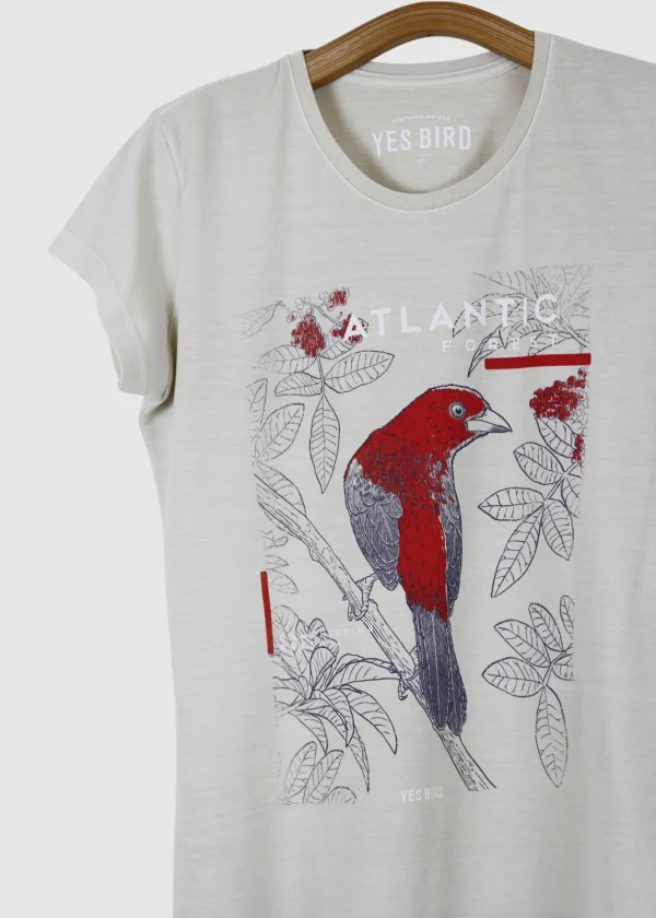 Camiseta Baby-look estonada - Tiê-sangue (Ramphocelus bresilia)