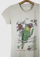 Camiseta Baby-look estonada - Curica-de-bochecha-laranja (Pyrilia barrabandi)