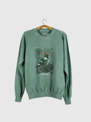 Casaco de moletom Unissex - Topetinho-vermelho (Lophornis magnificus)