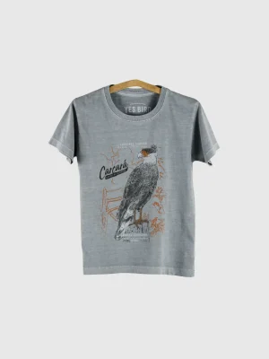 Camiseta infantil estonada - Carcará