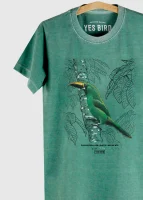 Camiseta Infantil - Tucaninho-de-nariz-amarelo (Aulacorhynchus atrogularis)