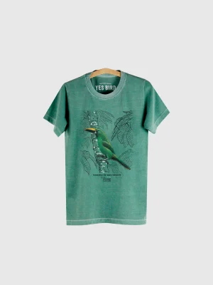 Camiseta Infantil - Tucaninho-de-nariz-amarelo (Aulacorhynchus atrogularis)