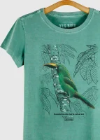 Camiseta Baby-look - Tucaninho-de-nariz-amarelo (Aulacorhynchus atrogularis)