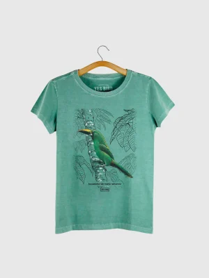 Camiseta Baby-look - Tucaninho-de-nariz-amarelo (Aulacorhynchus atrogularis)