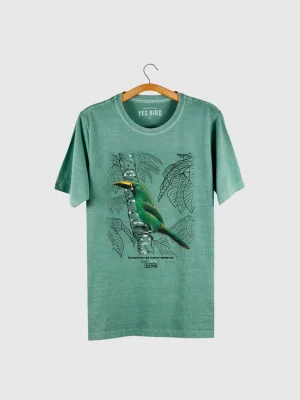 T-shirt masculina - Tucaninho-de-nariz-amarelo (Aulacorhynchus atrogularis)