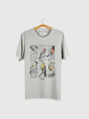Camiseta masculina - Aves da Caatinga