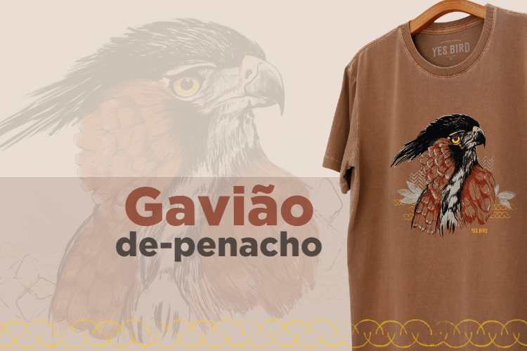 Camiseta Gavião-de-penacho (Spizaetus ornatus)