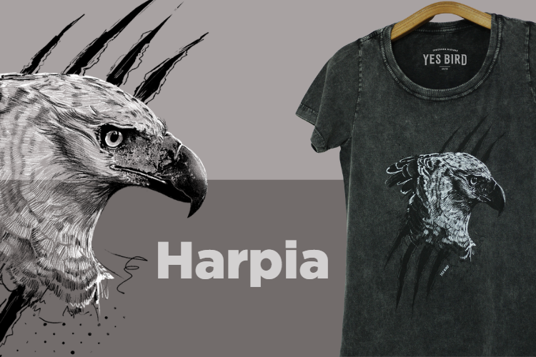 Lançamento – Camiseta Harpia (Harpia harpyja)