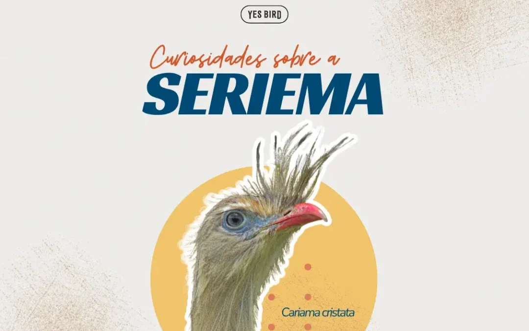 Curiosidades sobre a Seriema
